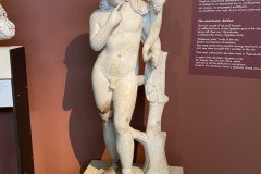 IMG_2490
