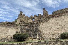 IMG_2560