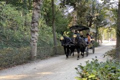 IMG_3432