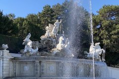 IMG_3438