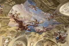 IMG_3534