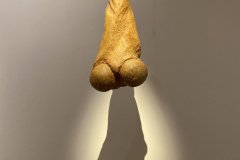 IMG_3623