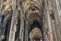 IMG_3664