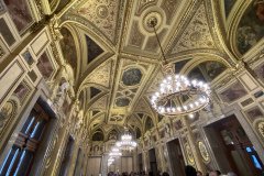 IMG_3788